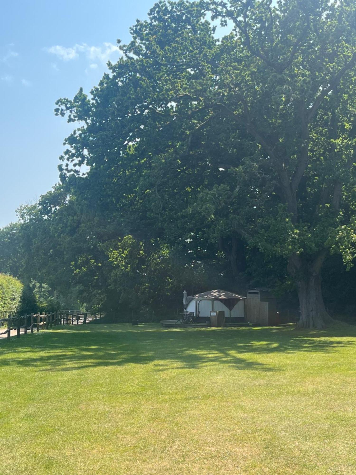 מלון אמסוורת' Old Dairy Farm Glamping מראה חיצוני תמונה